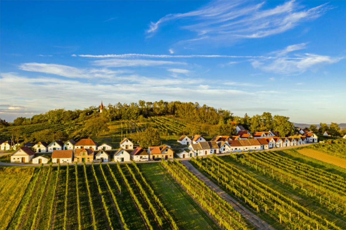 Eine Landschaft im Weinviertel.